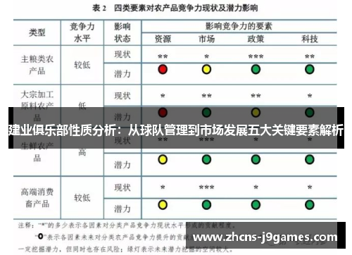 建业俱乐部性质分析：从球队管理到市场发展五大关键要素解析