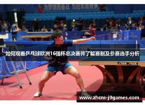 如何观看乒乓球欧洲16强杯总决赛并了解赛制及参赛选手分析